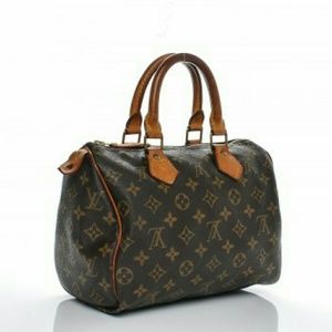 Louis Vuitton Purse